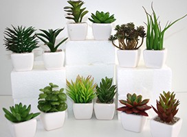 plante  artificielle small