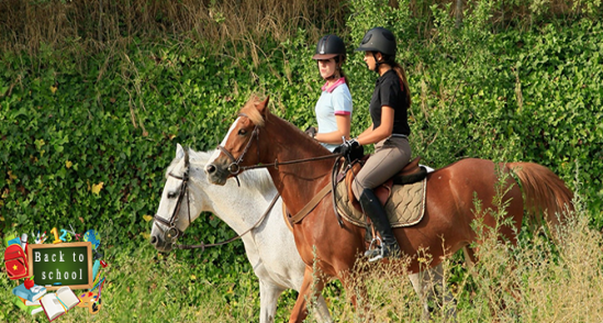 Archivé: Balade à cheval, démonstration & déjeuner à partir de 20DT au Royal Club d’équitation à La Manouba