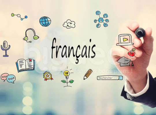 Formation & test linguistique