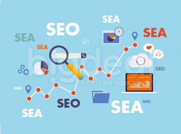 Formation SEO / SEA